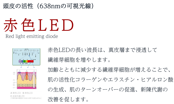 説明文：頭皮の活性（638nmの可視光線） 赤色LED Red light emitting diode 赤色LEDの長い波長は、真皮層まで浸透して繊維芽細胞を増やします。 加齢とともに減少する繊維芽細胞が増えることで、肌の活性化コラーゲンやエラスチン・ヒアルロン酸の生成、肌のターンオーバーの促進、新陳代謝の 改善を促します