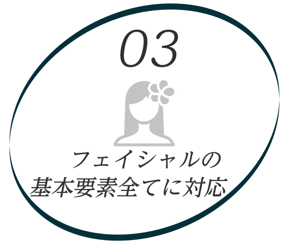 イラスト：03機能を集約　フェイシャルの基本要素全てに対応