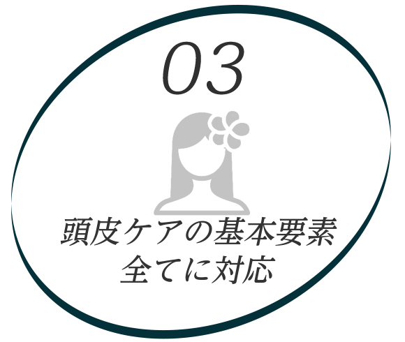 イラスト：03頭皮ケア　頭皮ケアの基本要素全てに対応